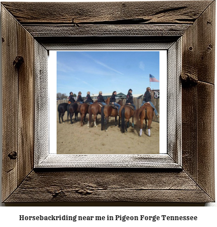 horseback riding near me in Pigeon Forge, Tennessee